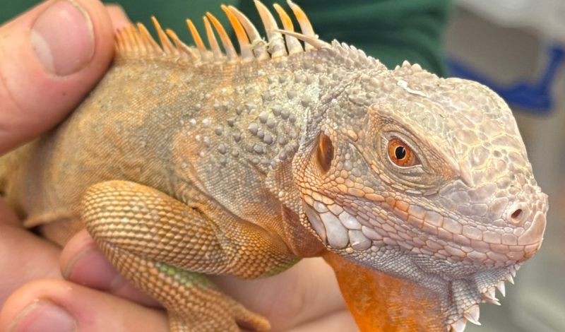 Meet our new arrivals! article image